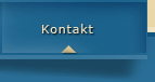 kontakt bnt