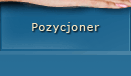 Pozycjoner